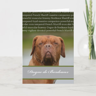 Dogue DE Bordeaux, de Beschrijving van het Feestdagen Kaart