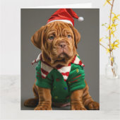 Dogue de Bordeaux Elf Puppy Kerst Kaart (Gele Bloem)