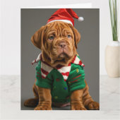 Dogue de Bordeaux Elf Puppy Kerst Kaart (Voorkant)