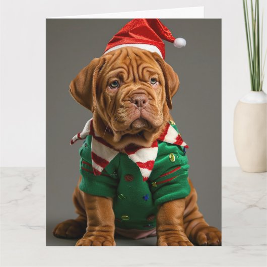 Dogue de Bordeaux Elf Puppy Kerst Kaart (Voorkant)