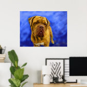 Dogue de Bordeaux Fine Art Prints (Thuiskantoor)