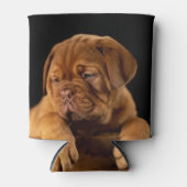 Dogue de bordeaux - Franse mastiff Blikjeskoeler (Voorkant)