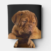 Dogue de bordeaux - Franse mastiff Blikjeskoeler (Achterkant)