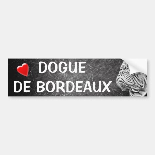 Dogue De Bordeaux - French Mastiff Bumpersticker (Voorkant)