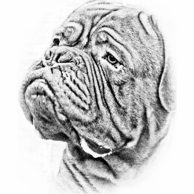 Dogue De Bordeaux - French Mastiff Fotobeeldje Sleutelhanger (Voorkant)