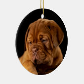Dogue de Bordeaux - French Mastiff Keramisch Ornament (Rechts)