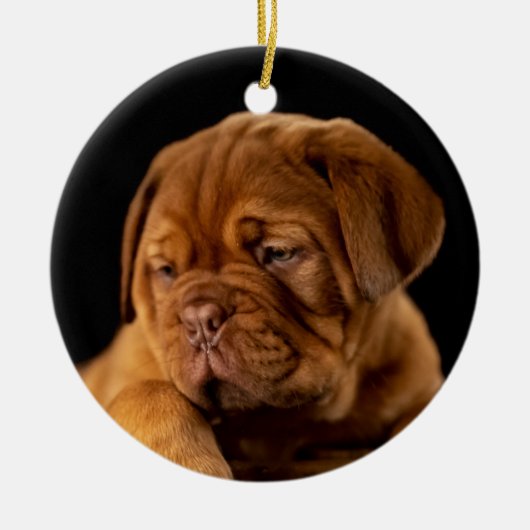 Dogue de Bordeaux - French Mastiff Keramisch Ornament (Voorkant)