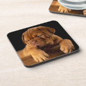 Dogue de Bordeaux - French Mastiff Puppy Dog Bier Onderzetter (Linkerzijde)
