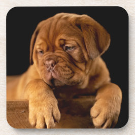 Dogue de Bordeaux - French Mastiff Puppy Dog Bier Onderzetter