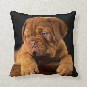 Dogue de Bordeaux - French Mastiff Puppy Dog Kussen