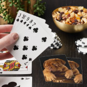 Dogue de Bordeaux - French Mastiff Puppy Pokerkaarten (Insitu)