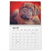 Dogue de Bordeaux Hondenkalender Kalender (Jan 2027)