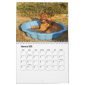 Dogue de Bordeaux Hondenkalender Kalender (Feb 2026)