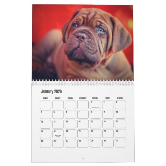 Dogue de Bordeaux Hondenkalender Kalender (Jan 2026)