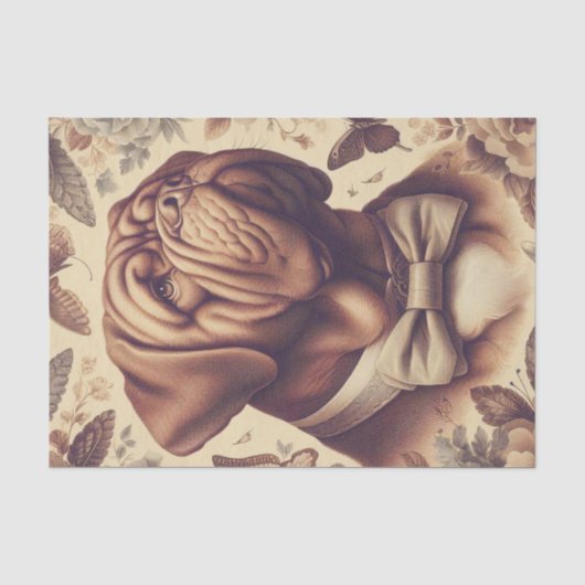 Dogue de Bordeaux Illustratie Tissuepapier (Voorkant)