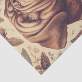 Dogue de Bordeaux Illustratie Tissuepapier (Detail)