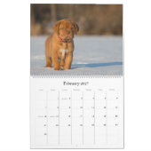 Dogue de Bordeaux Large Wall Agenda Kalender (Feb 2027)