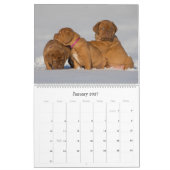 Dogue de Bordeaux Large Wall Agenda Kalender (Jan 2027)