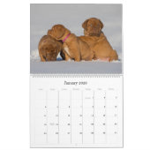 Dogue de Bordeaux Large Wall Agenda Kalender (Jan 2026)
