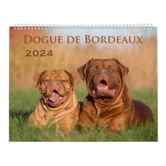 Dogue de Bordeaux Large Wall Agenda Kalender (Hoes)