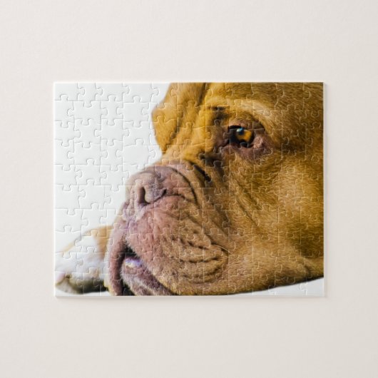 Dogue de Bordeaux Legpuzzel (Horizontaal)