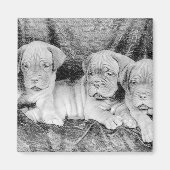 Dogue de bordeaux magneet (Voorkant)