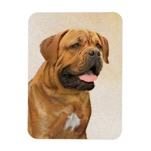 Dogue de Bordeaux Painting - Cute Original Dog Art Magneet