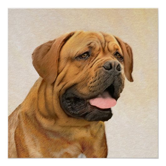 Dogue de Bordeaux Painting - Cute Original Dog Art Perfect Poster (Voorkant)
