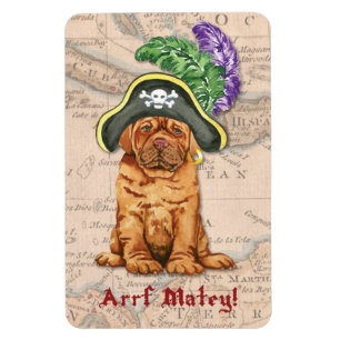Dogue de Bordeaux Pirate Magnet Magneet