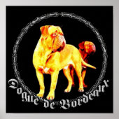Dogue de Bordeaux poster (Voorkant)