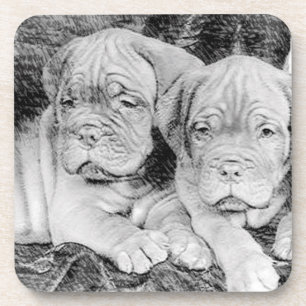 Dogue de bordeaux puppies bier onderzetter