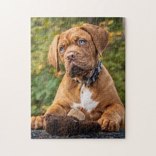 Dogue de Bordeaux Puppy Dog Legpuzzel (Verticaal)