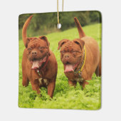Dogue De Bordeaux Puppy Dogs in het gras Keramisch Ornament (Links)
