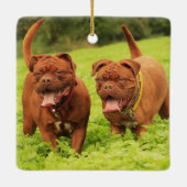 Dogue De Bordeaux Puppy Dogs in het gras Keramisch Ornament (Achterkant)
