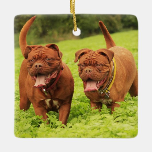 Dogue De Bordeaux Puppy Dogs in het gras Keramisch Ornament (Voorkant)