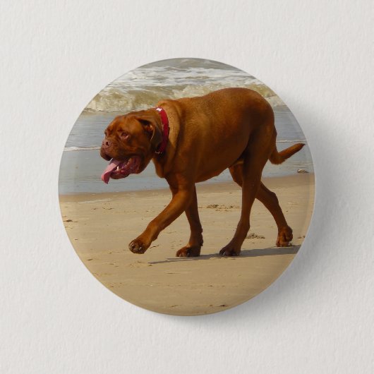 dogue de bordeaux ronde button 5,7 cm (Voorkant)