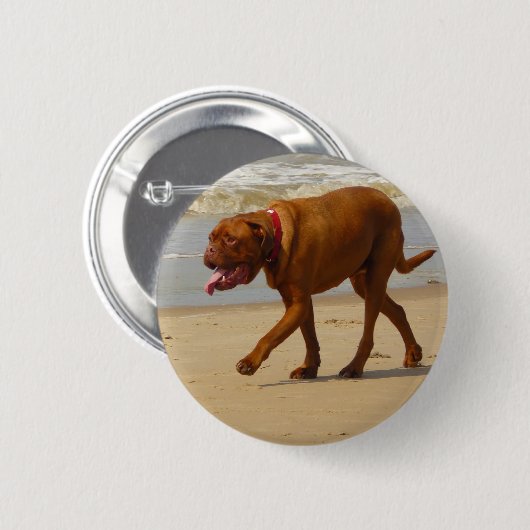 dogue de bordeaux ronde button 5,7 cm (Voorkant /achterkant)