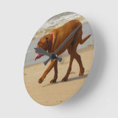 Dogue de Bordeaux Ronde Klok (Hoek)
