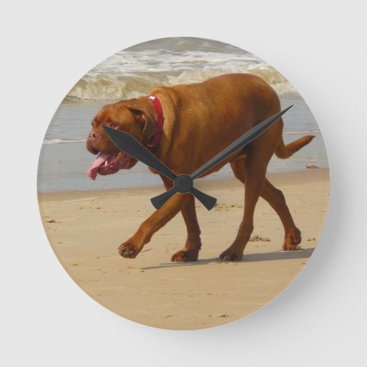 Dogue de Bordeaux Ronde Klok (Voorkant)