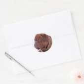 Dogue De Bordeaux Ronde Sticker (Envelop)