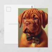  Dogue de Bordeaux Schilderij Briefkaart (Voorkant / Achterkant)