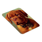  Dogue de Bordeaux Schilderij Magneet (Rechterzijde)