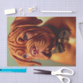 Dogue de Bordeaux Schilderij Tissuepapier (Craft)