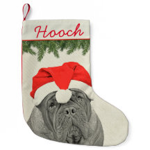 Dogue de Bordeaux Style