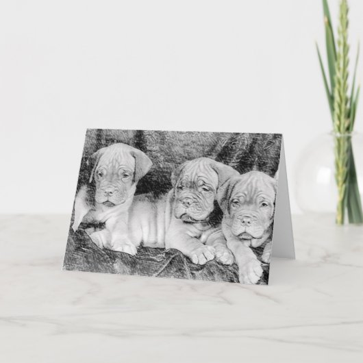 Dogue de bordeaux-wenskaart kaart (Voorkant)