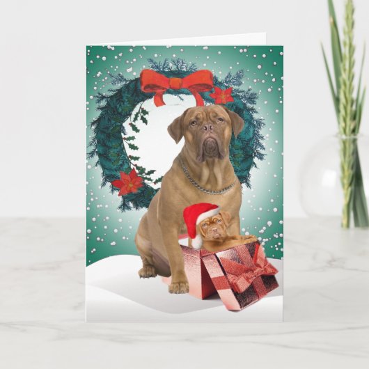 Dogue DE BordeauxChristmas Gift Kaarten (Voorkant)