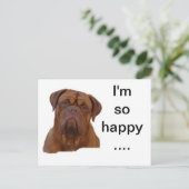 Dogue de Bourdeaux Briefkaart (Staand voorkant)