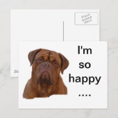 Dogue de Bourdeaux Briefkaart (Voorkant / Achterkant)