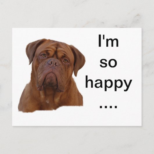 Dogue de Bourdeaux Briefkaart (Voorkant)