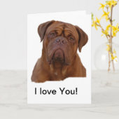 Dogue DE Bourdeaux, Franse mastiff Kaart (Gele Bloem)